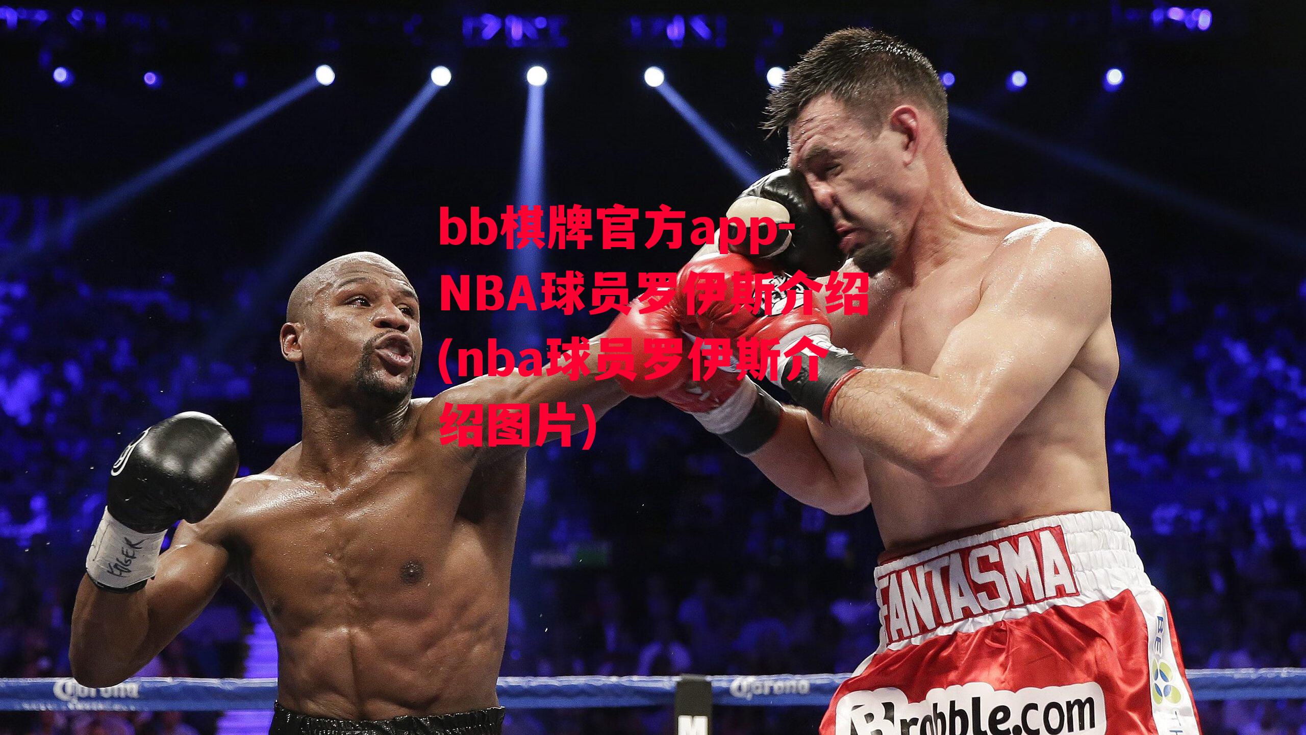 NBA球员罗伊斯介绍(nba球员罗伊斯介绍图片)