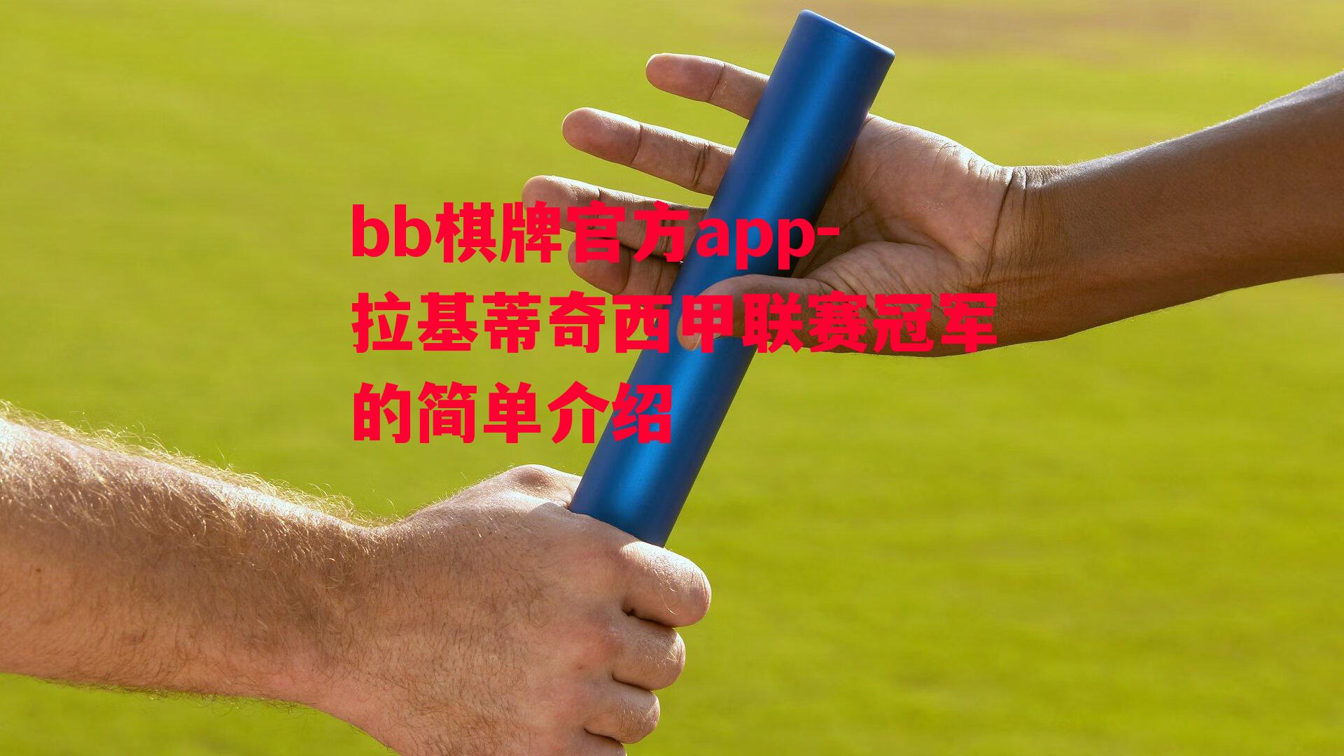 拉基蒂奇西甲联赛冠军的简单介绍